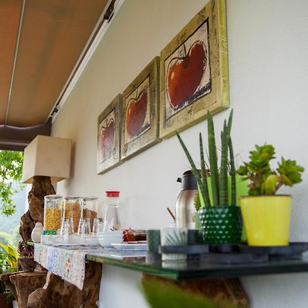 维埃拉·多米尼奥Quinta Da Mouta别墅 外观 照片